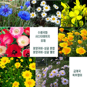 [야생꽃씨] 혼합종 -봄씨앗  7종 혼합 